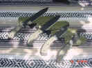 o.d._busse_sheaths2.jpg (42286 bytes)